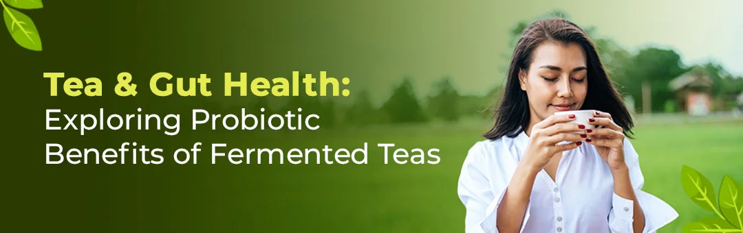 Tea and Gut Health: Exploring Probiotic Benefits of Fermented Teas