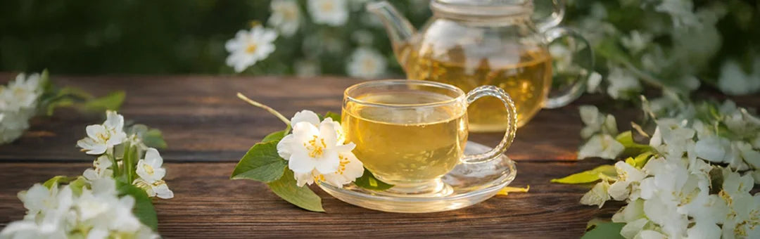 White Tea Benefits: A Light Brew with Big Benefits for Your Well-Being