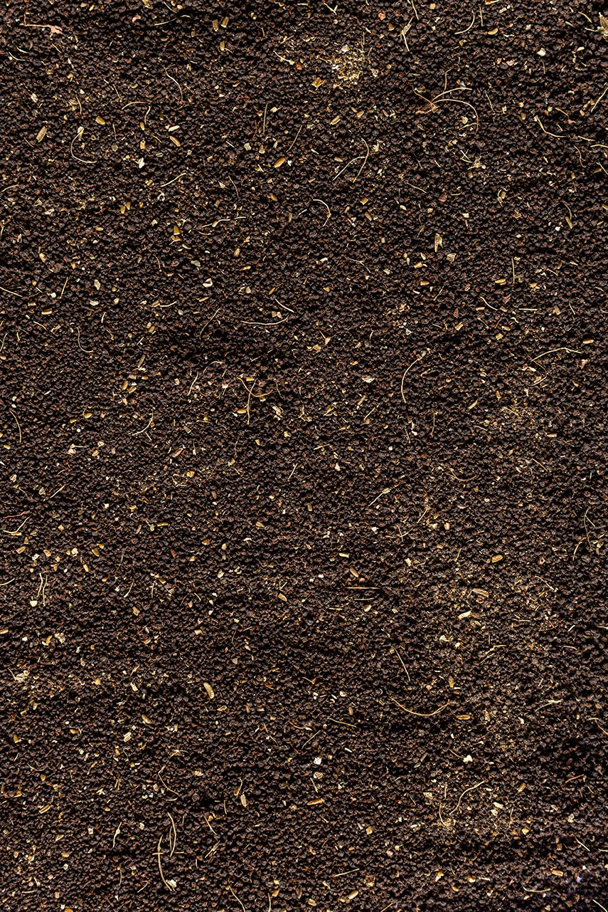 Cardamom CTC Tea