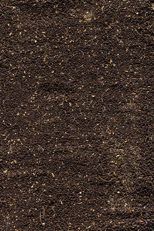 Cardamom CTC Tea