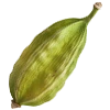 Cardamom