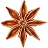 Star Anise