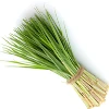 Lemon Grass