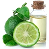 Bergamot Oil